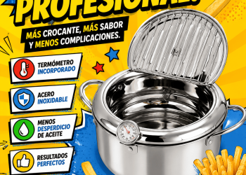 Olla Freidora De Aceite